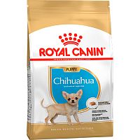 Сухой корм для щенков Чихуахуа до 8 месяцев, Royal Canin Chihuahua Junior