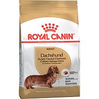 Сухой корм для взрослых собак породы Такса с 10 месяцев, Royal Canin Dachshund Adult