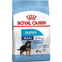 Сухой корм для щенков крупных пород c 2 до 15 месяцев, Royal Canin Maxi Puppy