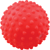 Игрушка для собак "Мяч игольчатый № 1" 53 мм, Зооник