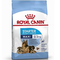Сухой корм для щенков крупных пород до 2 месяцев, беременных и кормящих сук, Royal Canin Maxi Starter